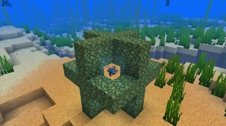 Heart of the Sea Minecraft