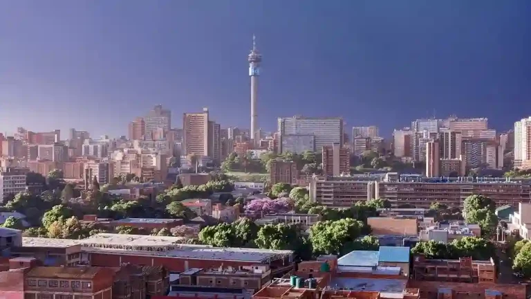 Joy Jozi
