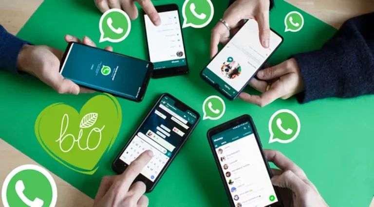 WhatsApp Bio